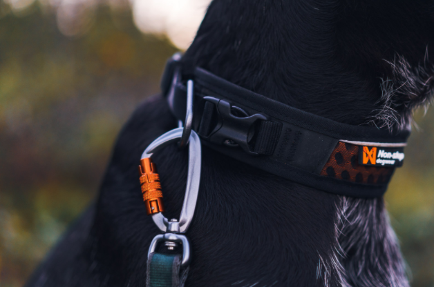 Klickhalsband Rock Adjustable Collar von Non-stop dogwear